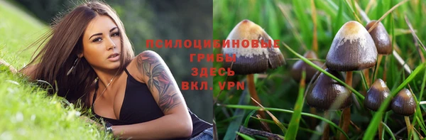 СК Заволжск