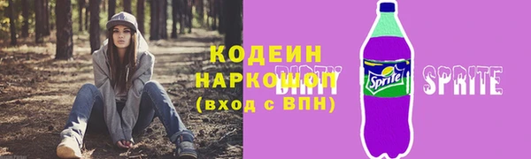 ПСИЛОЦИБИНОВЫЕ ГРИБЫ Заводоуковск