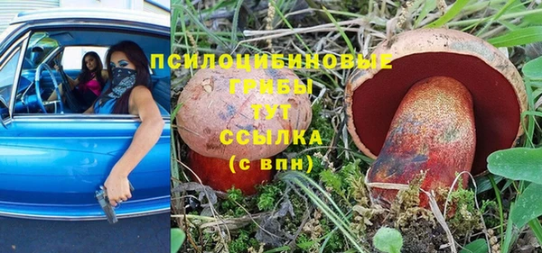 ПСИЛОЦИБИНОВЫЕ ГРИБЫ Заводоуковск